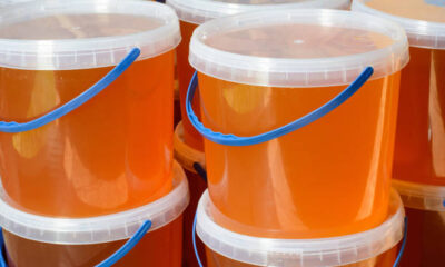free shipping buckets pails honey for sale